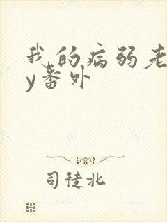 我的病弱老婆by番外封面