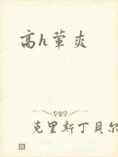 高h荤爽