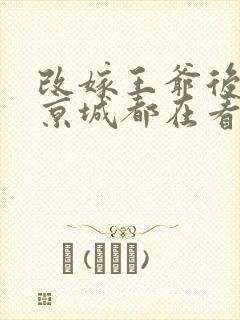 改嫁王爷后,全京城都在看我虐渣