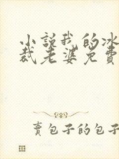 小说我的冰山总裁老婆免费看封面