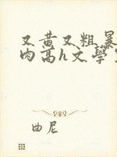 又黄又粗暴的纯肉高h文学生男男