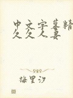 中文字幕精品久久久人妻封面