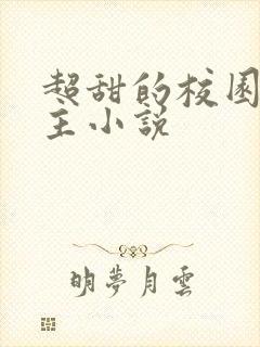 超甜的校园双男主小说