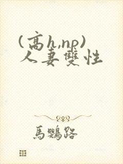 (高h,np)人妻双性