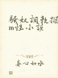 骚奴调教捆绑sm性小说