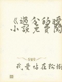 《过分的暧昧》小说免费阅读全文