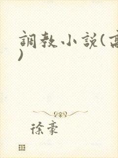 调教小说(高h)封面