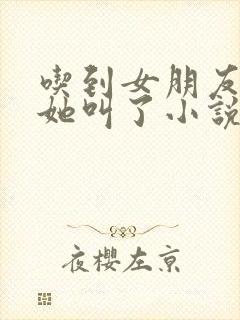 吃到女朋友的胸她叫了小说封面