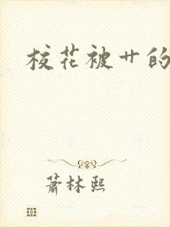 校花被艹的小说封面