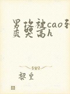 男攻被cao到爽哭高h封面