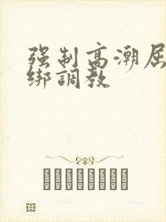 强制高潮屈辱捆绑调教