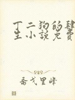 丁二狗的肆意人生小说免费阅读