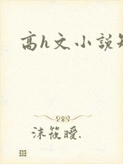 高h文小说短篇封面