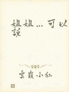 姐姐…可以吗小说