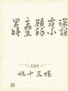 男主顾霆琛女主时笙的小说叫什么