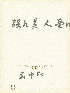 强h美人受np