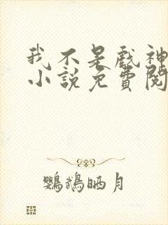 我不是戏神正版小说免费阅读封面