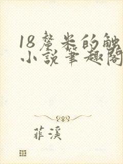 18厘米的触感小说笔趣阁最新章节更新内封面
