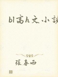 bl高h文小说