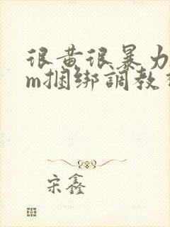 很黄很暴力的sm捆绑调教视频网站