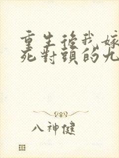 重生后我嫁给了死对头的九叔封面