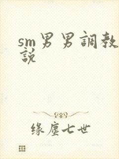 sm男男调教小说