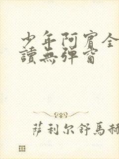 少年阿宾全文阅读无弹窗封面