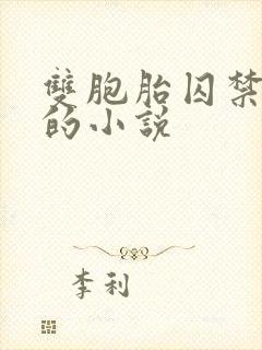 双胞胎囚禁女主的小说