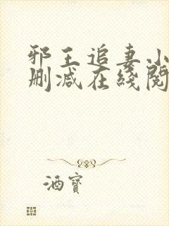 邪王追妻小说无删减在线阅读