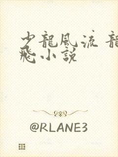 少龙风流 龙剑飞小说