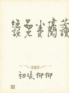 绝品小伟芳姨小说免费阅读