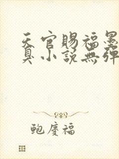 天官赐福墨香铜臭小说无弹窗无广告封面