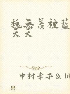 魏无羡被蓝忘机天天封面