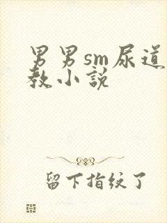 男男sm尿道调教小说