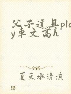 父子道具play车文高h