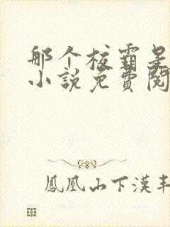 那个校霸是我的小说免费阅读