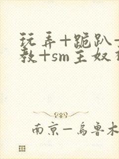 玩弄+跪趴+调教+sm主奴视频