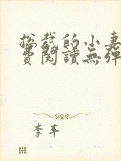 总裁的小妻子免费阅读无弹窗