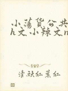 小荡货公共场所h文小辣文np封面