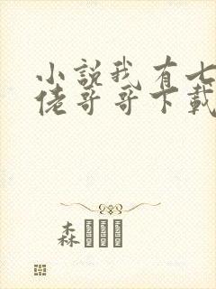 小说我有七个大佬哥哥下载封面