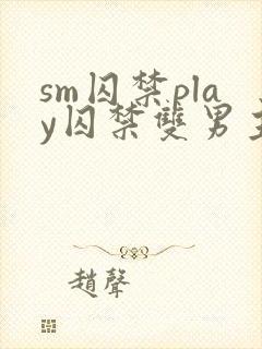 sm囚禁play囚禁双男主