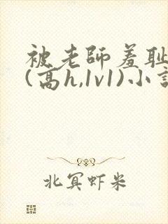 被老师羞耻调教(高h,1v1)小说