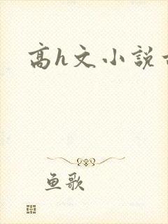 高h文小说古言封面