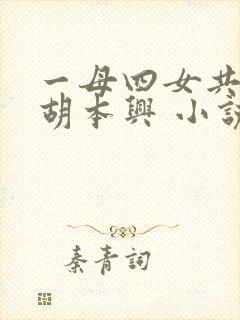 一母四女共一婿胡本兴 小说