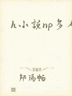 h小说np多人