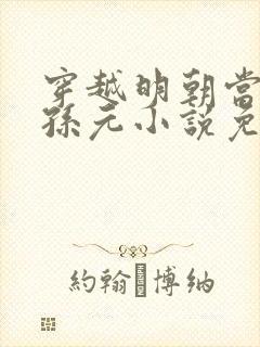 穿越明朝当老大孙元小说免费阅读