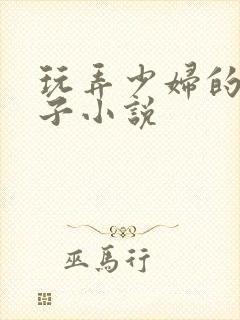 玩弄少妇的大奶子小说