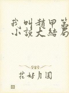 我叫赵甲第原著小说大结局封面