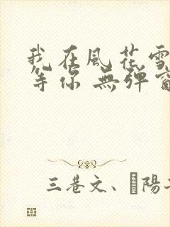 我在风花雪月里等你 无弹窗封面