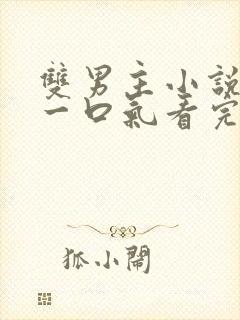 双男主小说推文一口气看完甜文封面